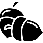 Narváez 72